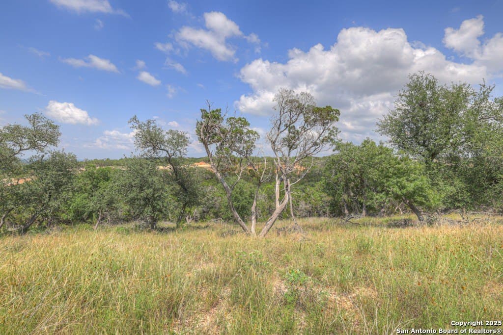 7.82 acres in Comal County - photo 23