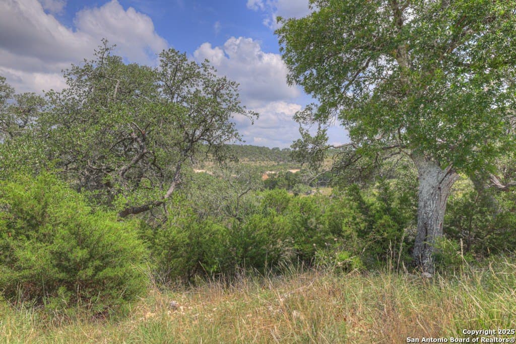 7.82 acres in Comal County - photo 25