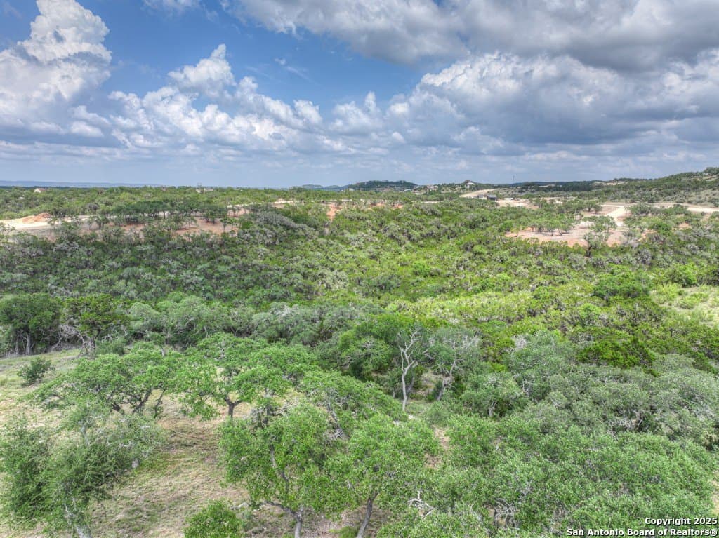 7.82 acres in Comal County - photo 42