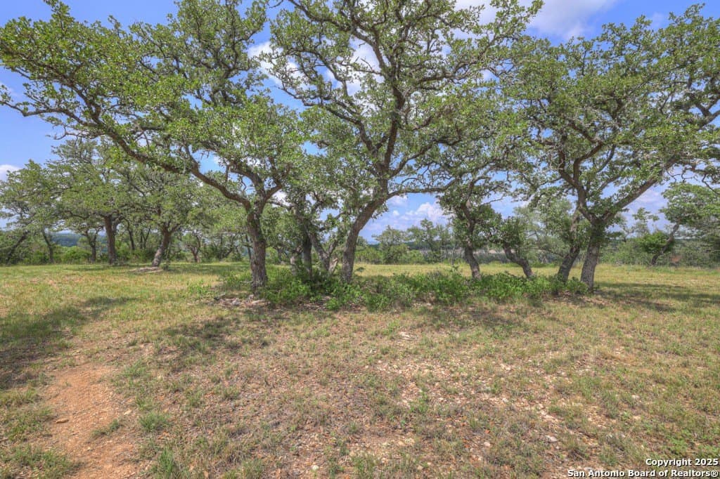 7.82 acres in Comal County - photo 13