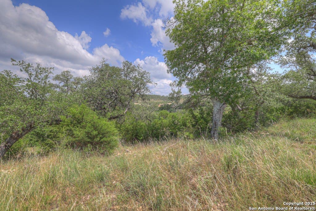 7.82 acres in Comal County - photo 26