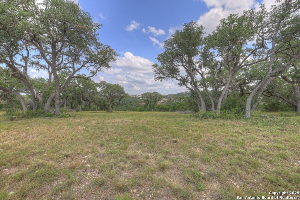 7.82 acres in Comal County - photo 7