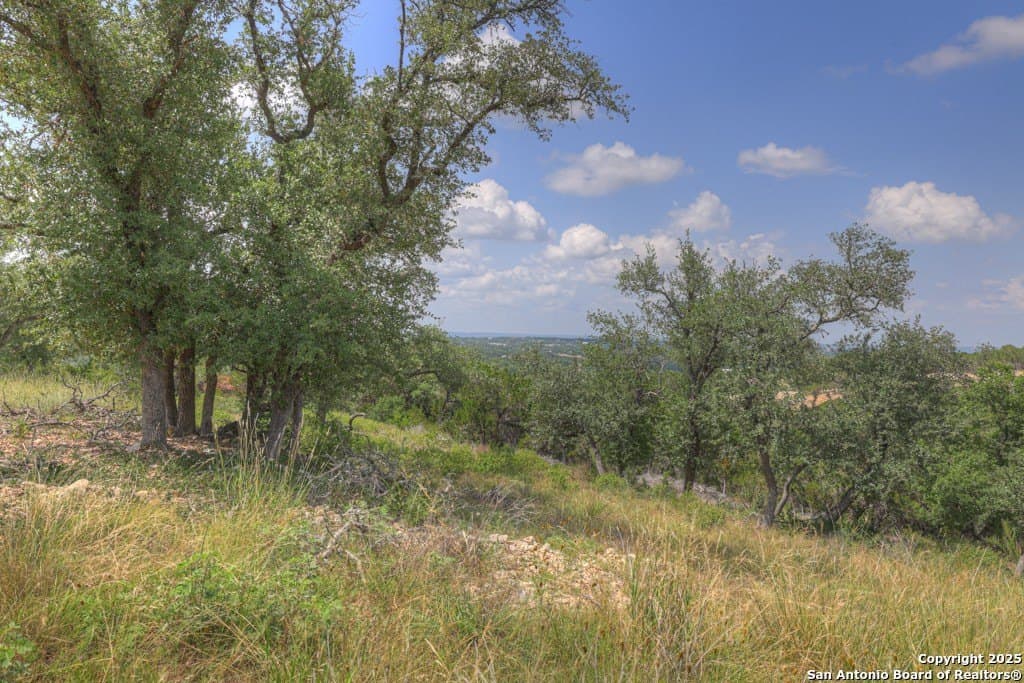 7.82 acres in Comal County - photo 24