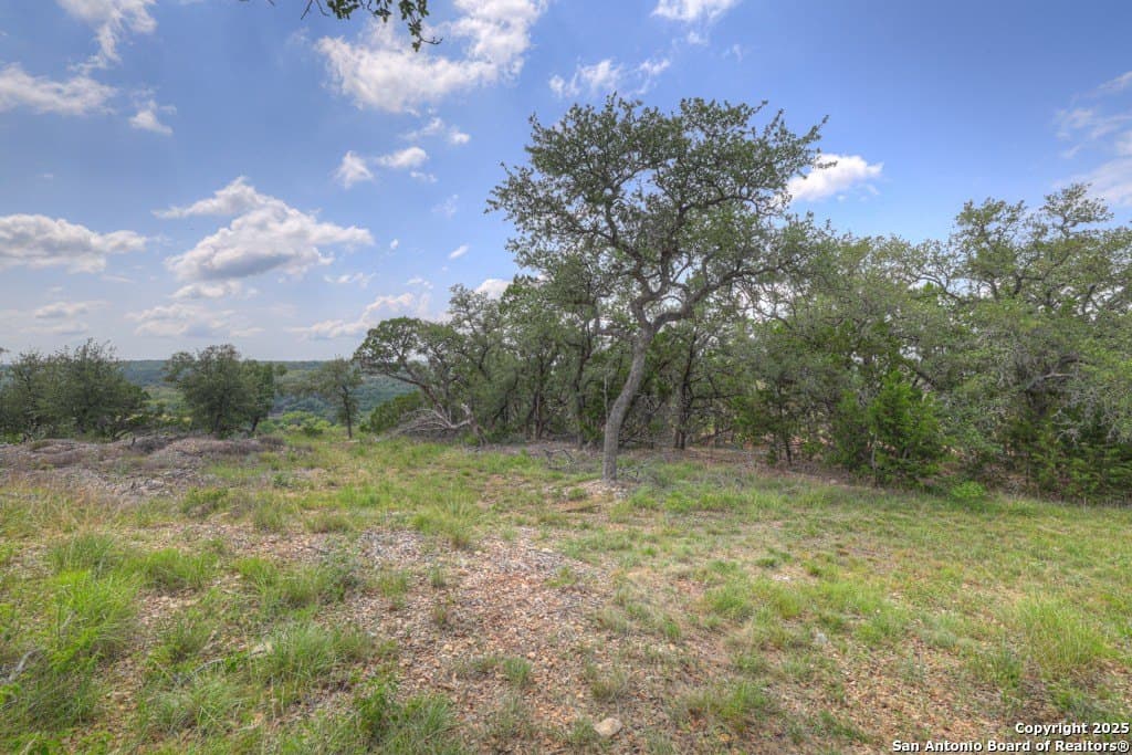 7.82 acres in Comal County - photo 17