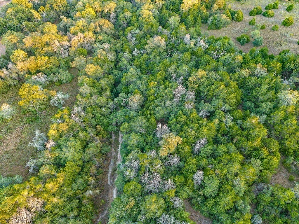 58.37 acres in Fayette County - photo 21