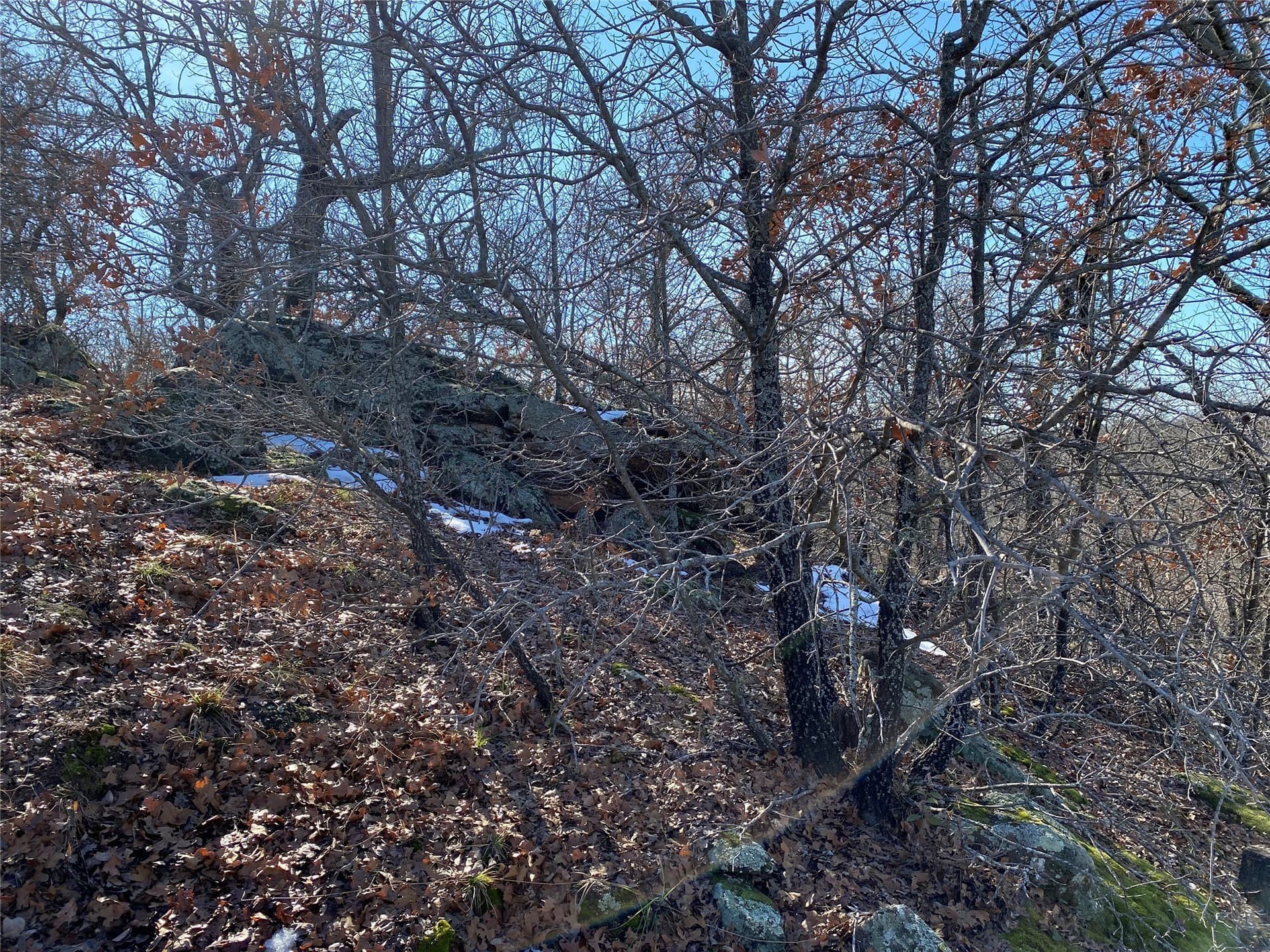 2.05 acres in Montague County - photo 9