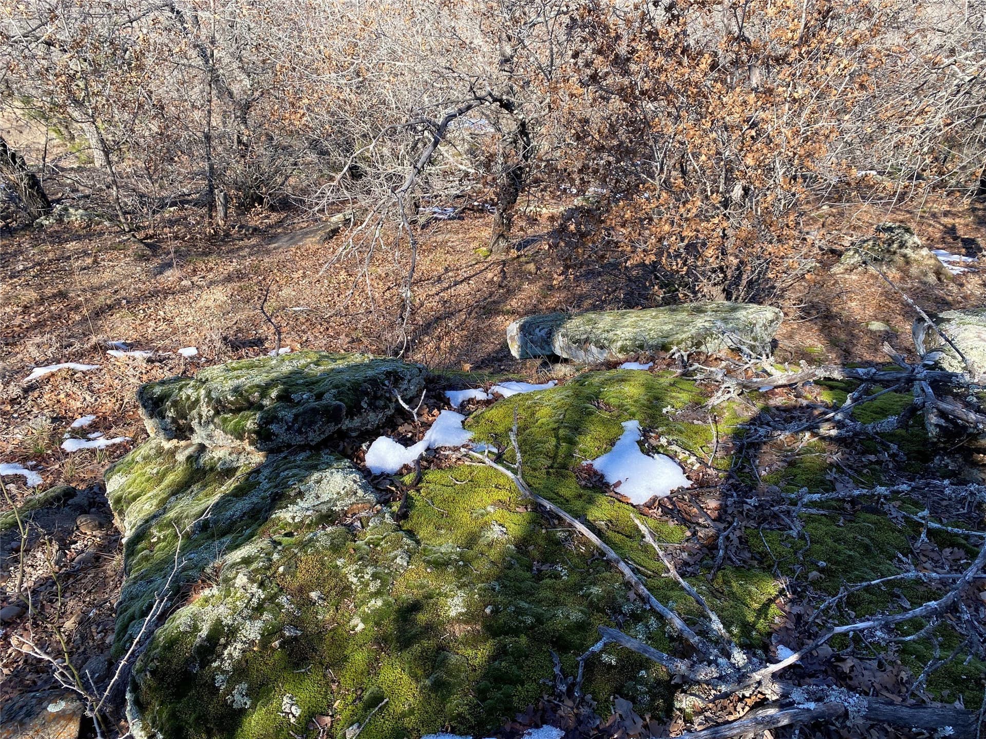 2.05 acres in Montague County - photo 6
