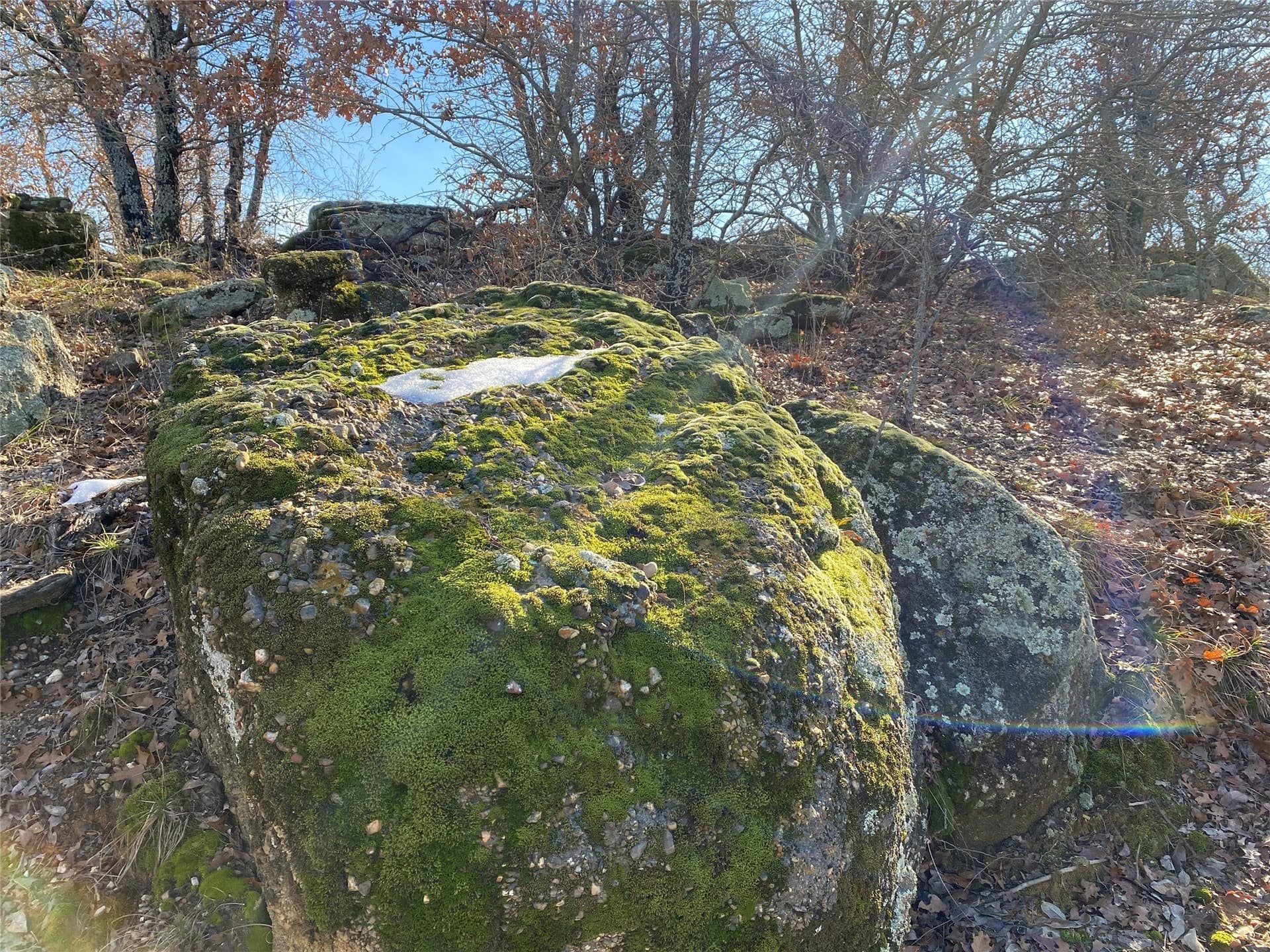 2.05 acres in Montague County - photo 10