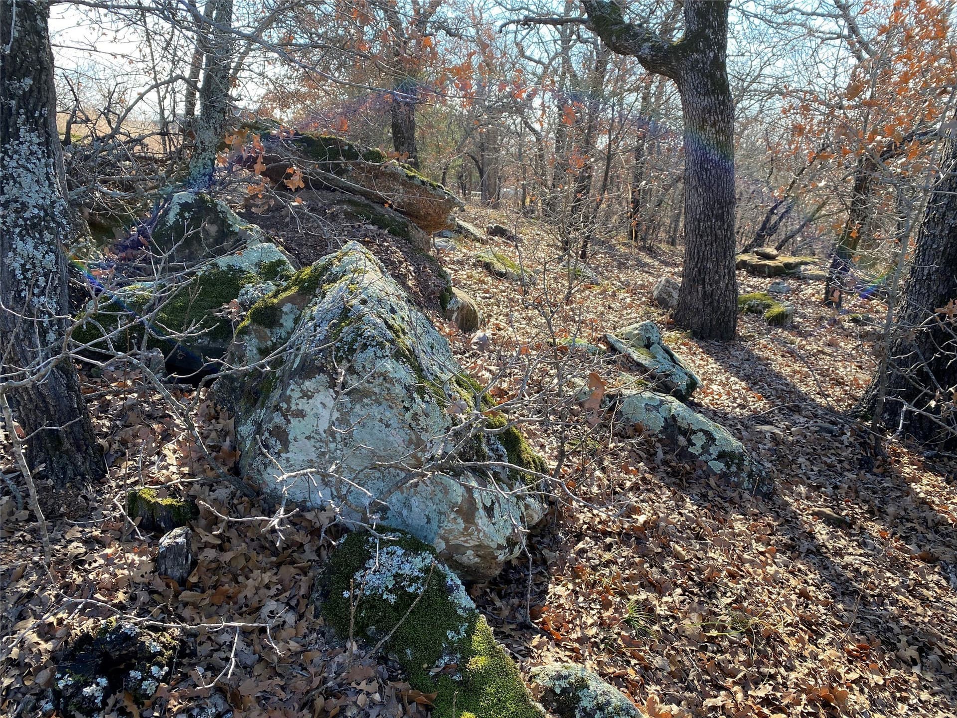 2.05 acres in Montague County - photo 14