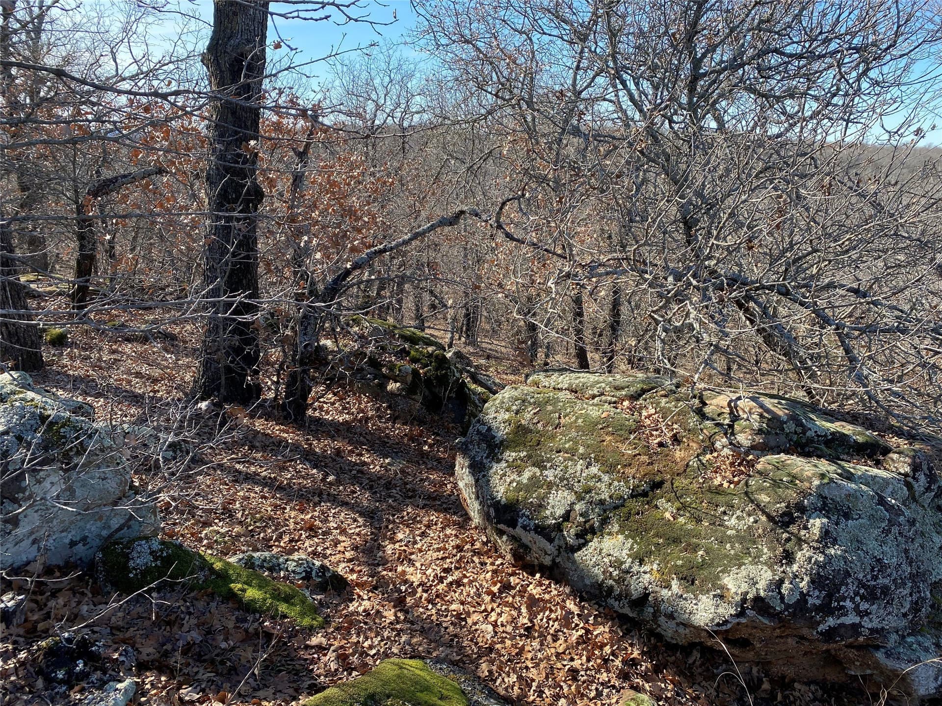 2.05 acres in Montague County - photo 15