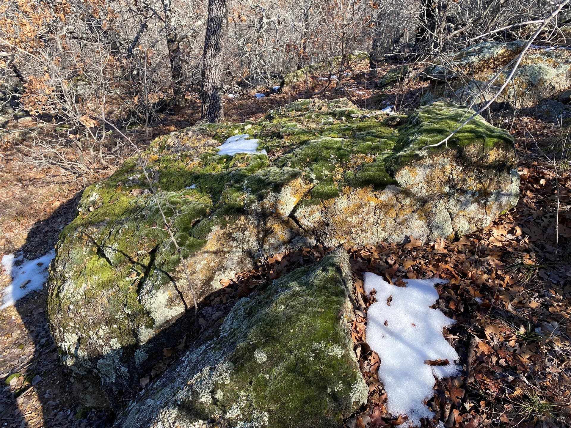 2.05 acres in Montague County - photo 11