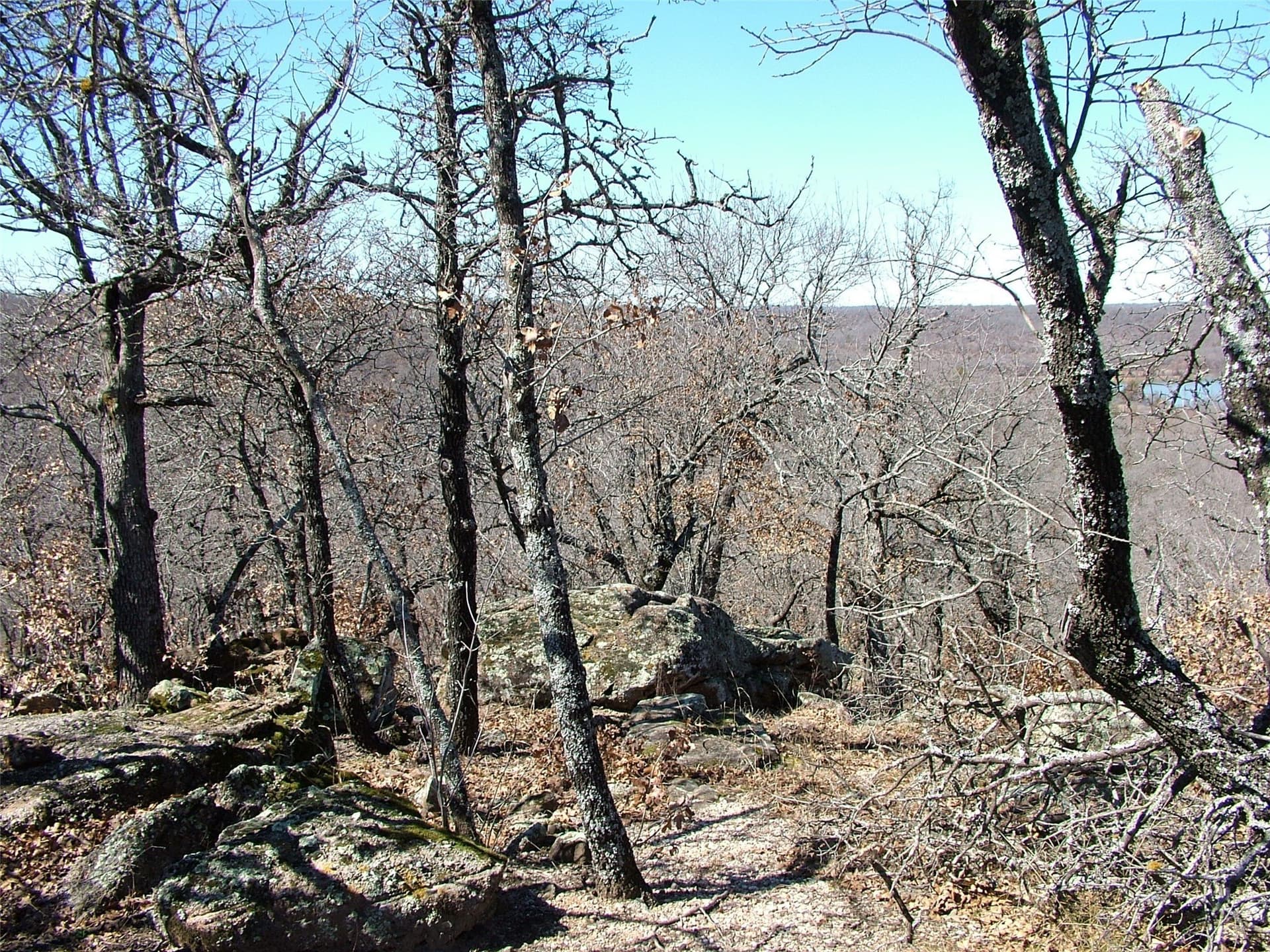 2.05 acres in Montague County - photo 5