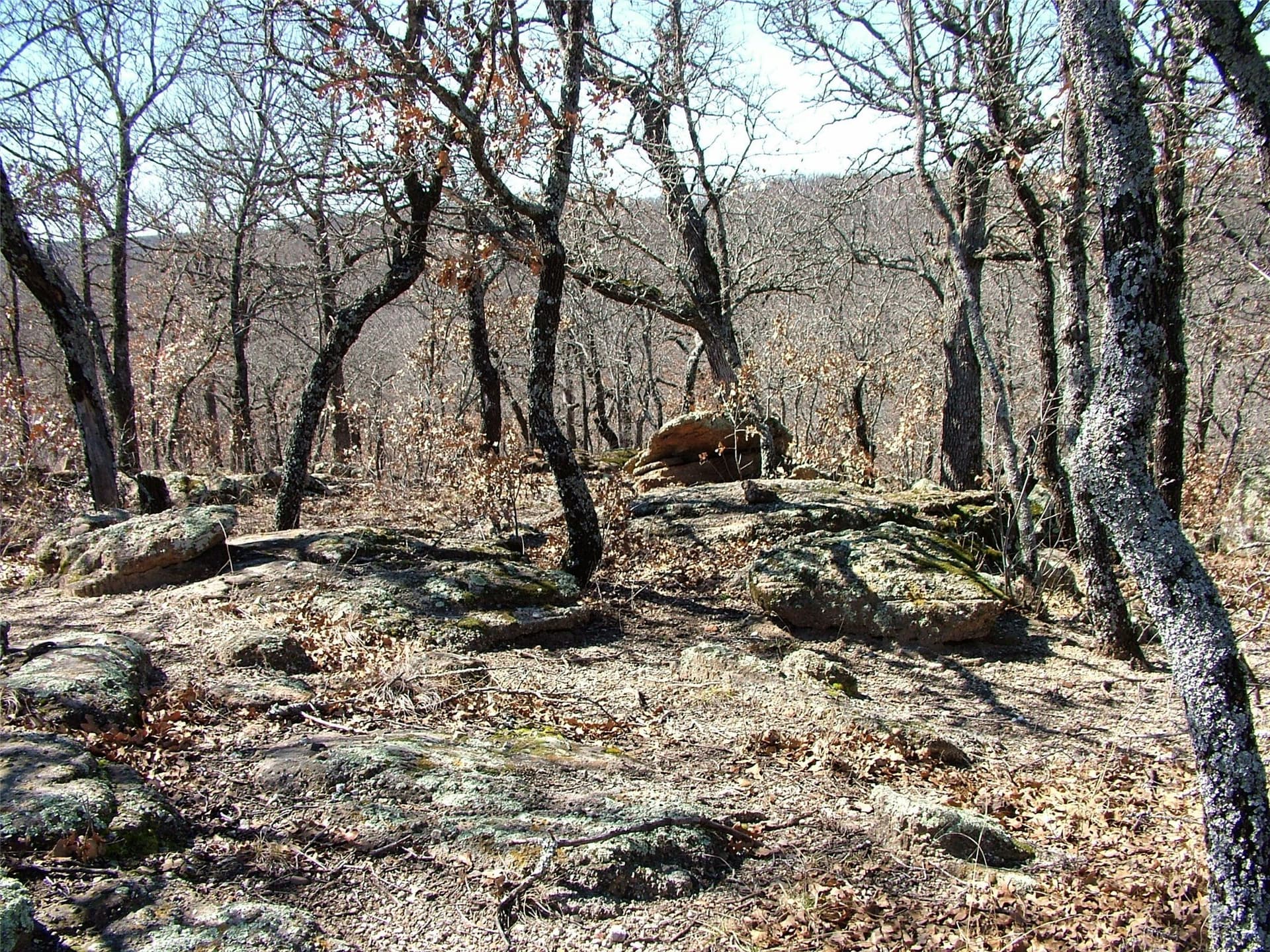 2.05 acres in Montague County - photo 4