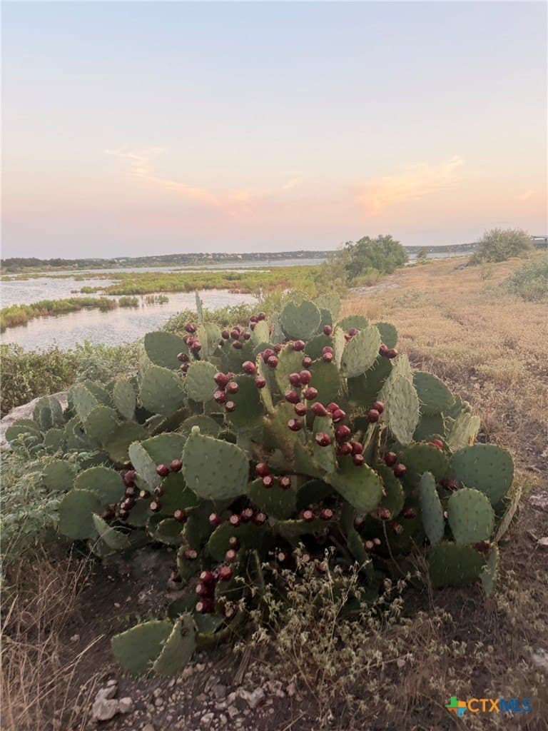9.59 acres in Comal County - photo 14