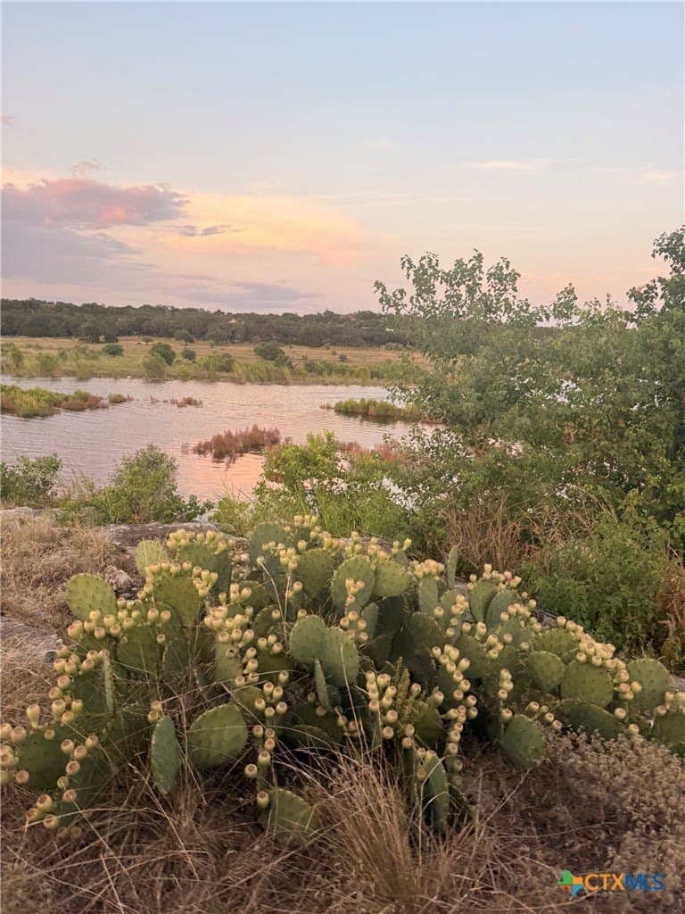 9.59 acres in Comal County - photo 19