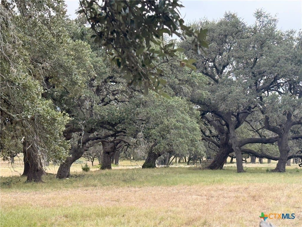 9.59 acres in Comal County - photo 8