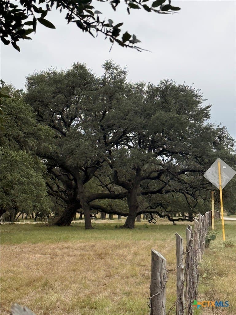 9.59 acres in Comal County - photo 10