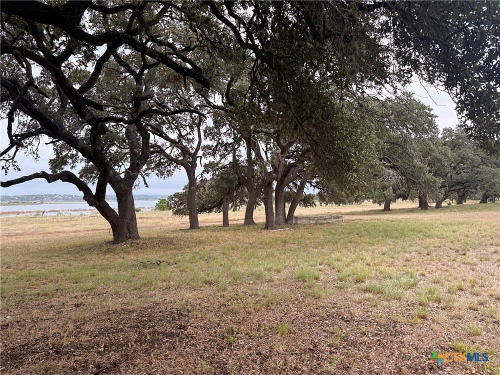 9.59 acres in Comal County - photo 6