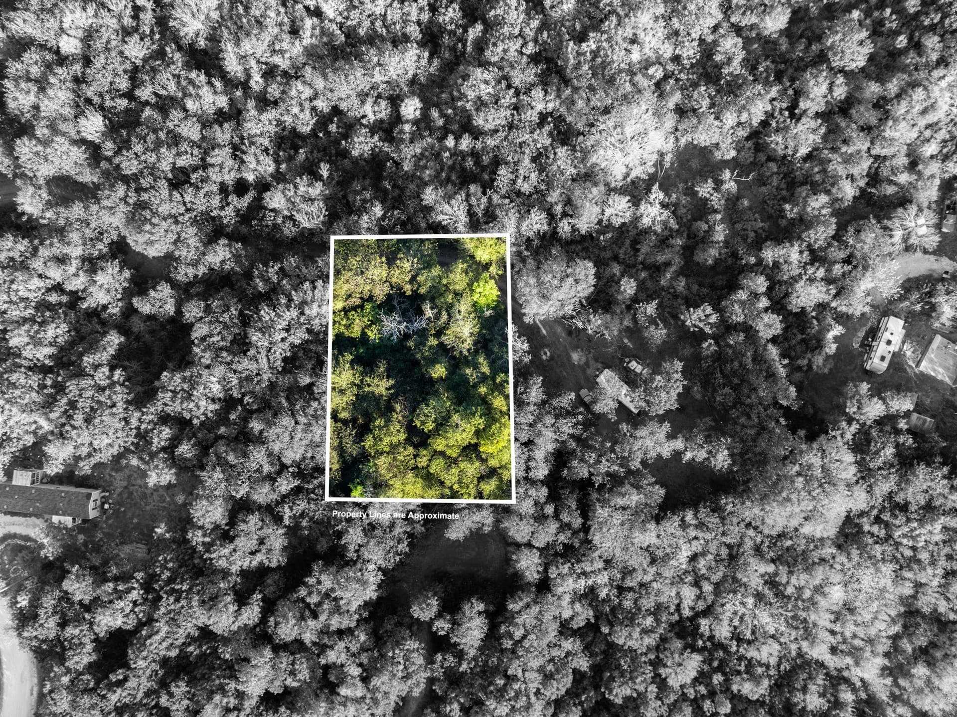 0.12 acres in Hill County - photo 12