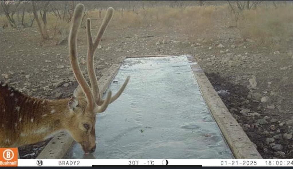 100.1 acres in McCulloch County gallery image 3