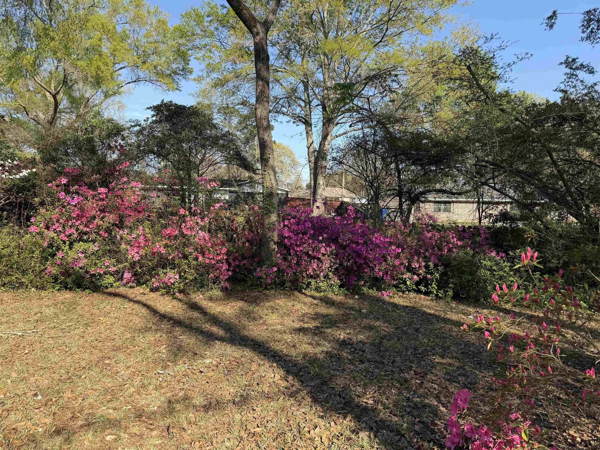 47 acres in Panola County - photo 9