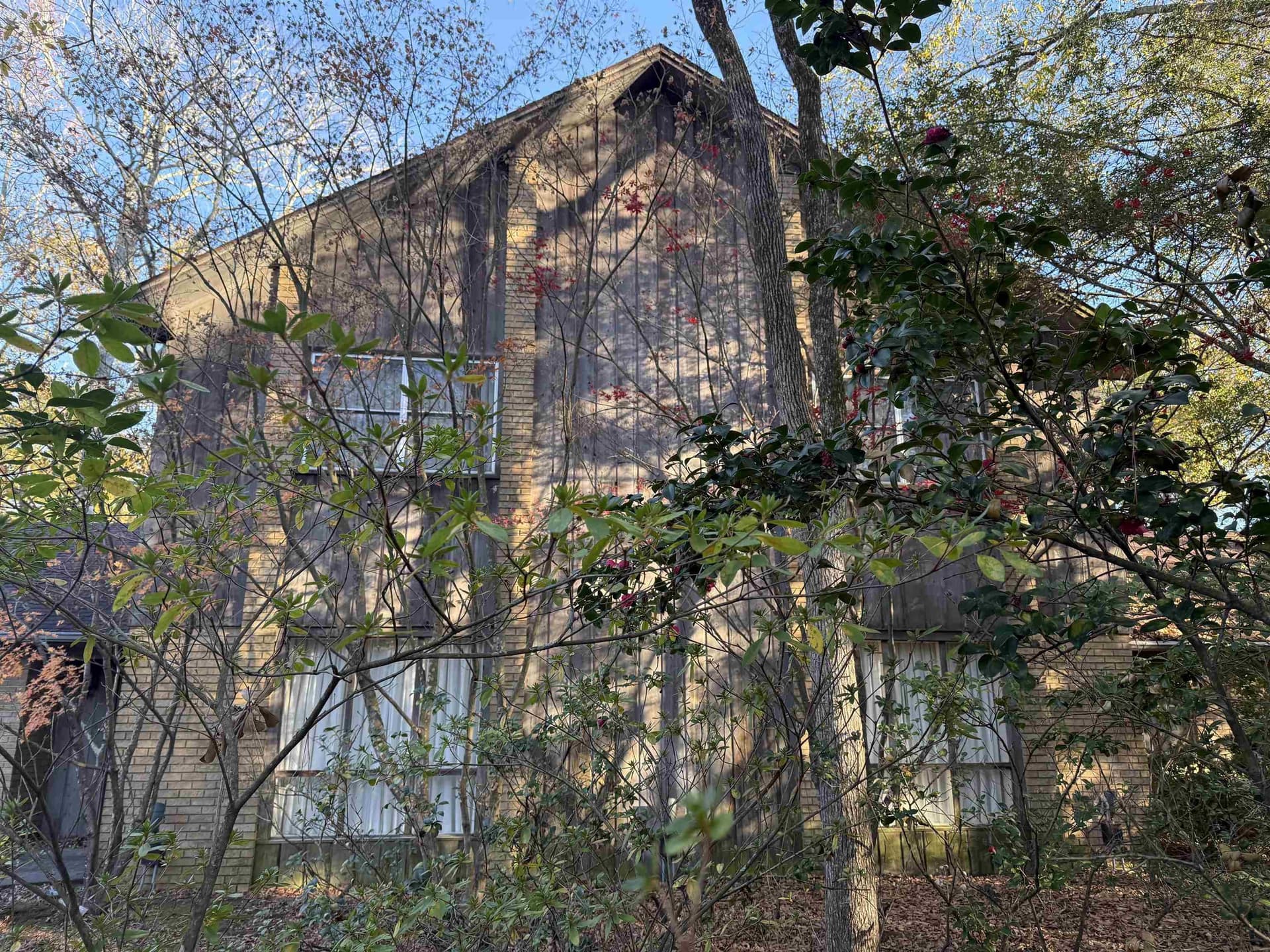 47 acres in Panola County - photo 18