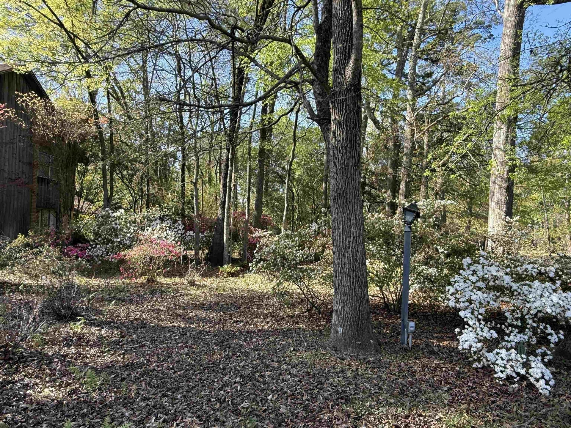 47 acres in Panola County - photo 15