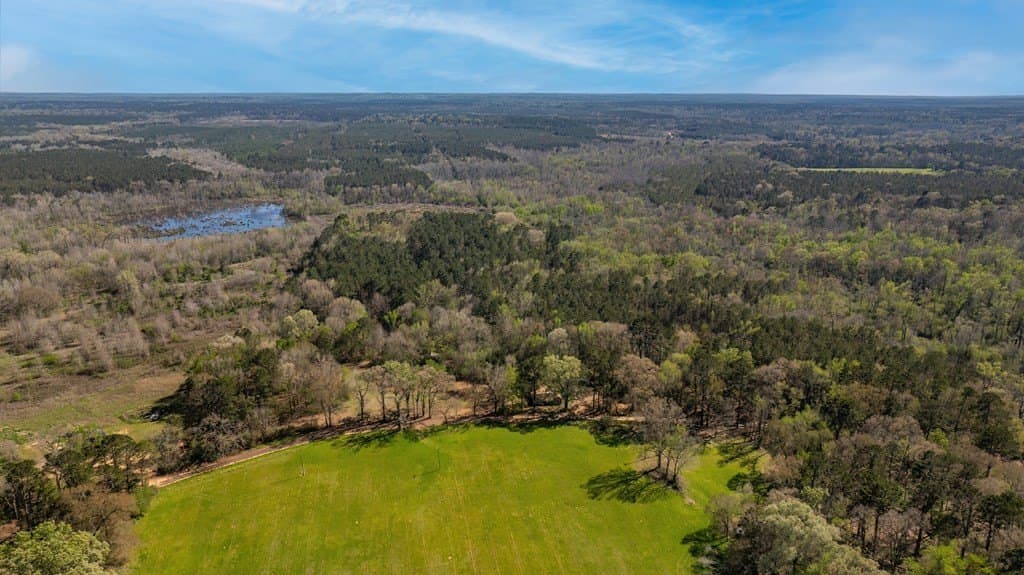 52 acres in Texas County gallery image 2