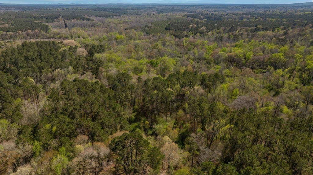 52 acres in Texas County featured view
