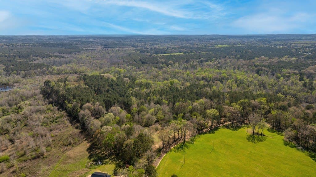52 acres in Texas County gallery image 3