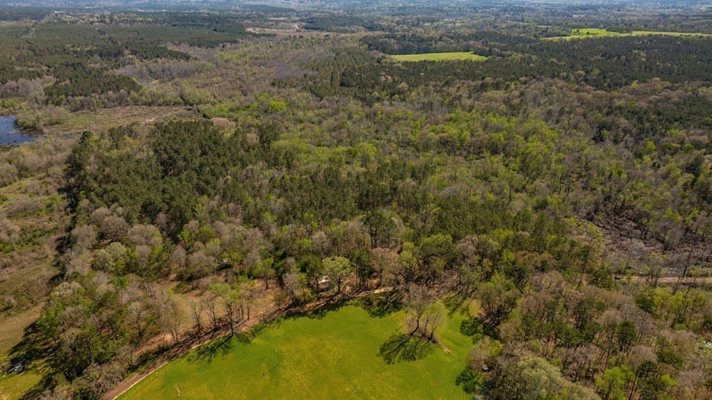 52 acres in Texas County gallery image 4