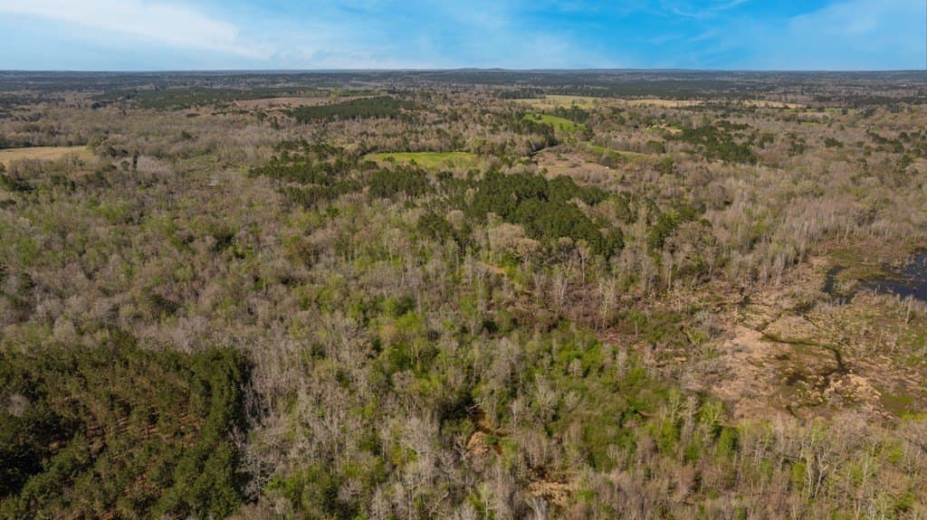 52 acres in Texas County - photo 6