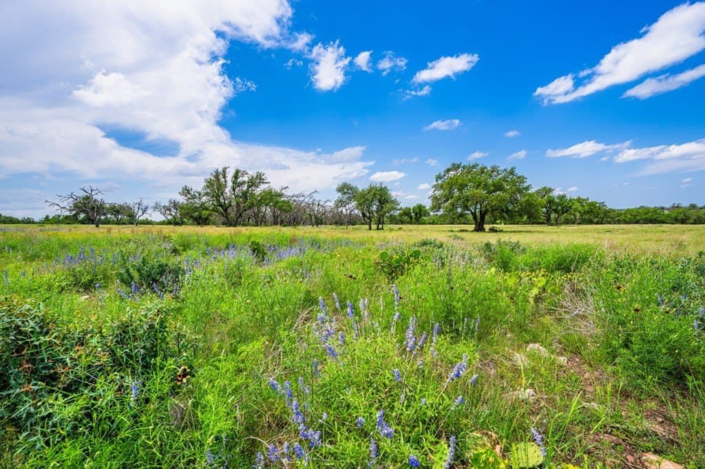 5.15 acres in Gillespie County gallery image 2
