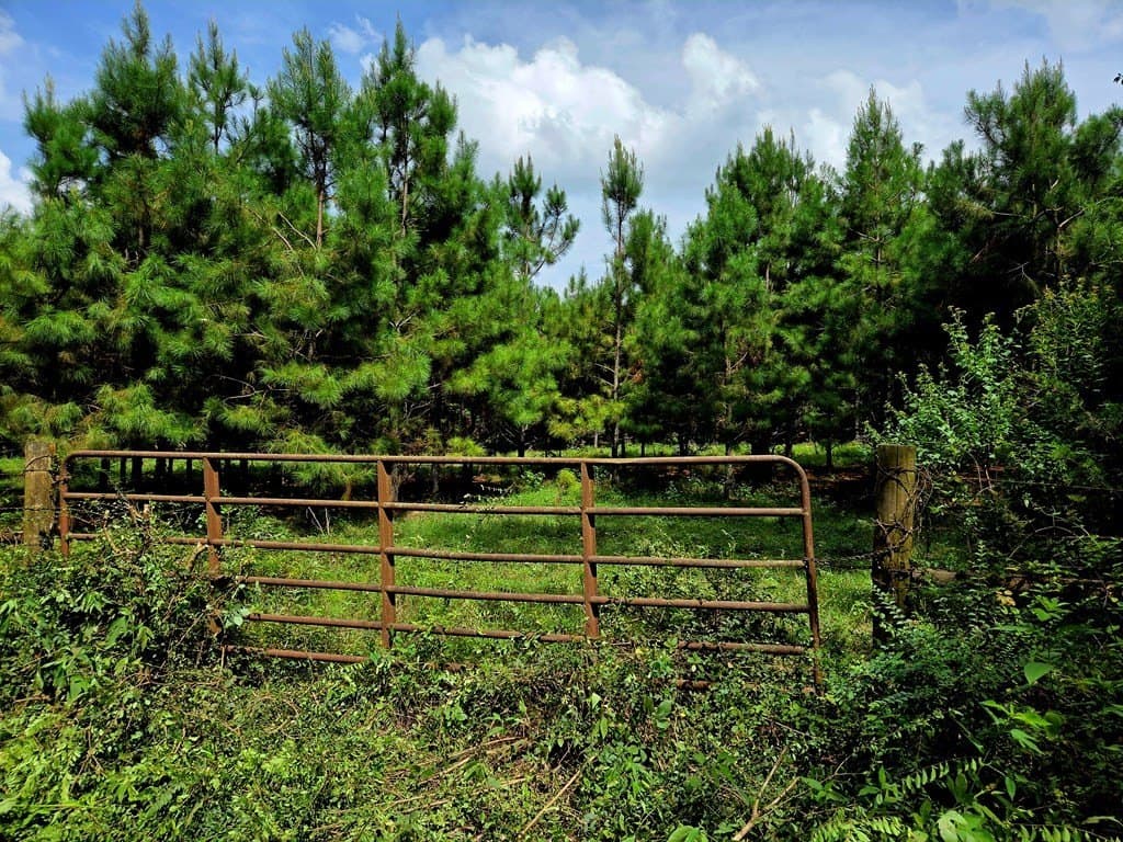 6.7 acres in Texas County gallery image 2