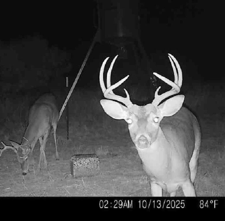 158.5 acres in Fisher County gallery image 2