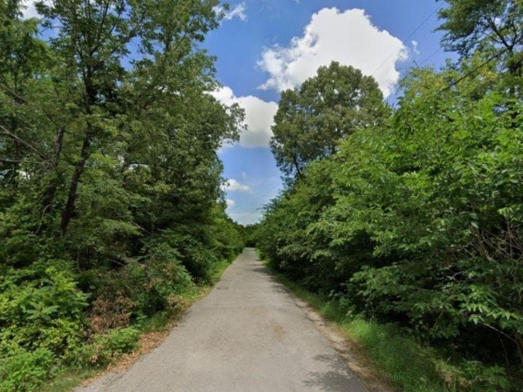 0.74 acres in Hunt County gallery image 4