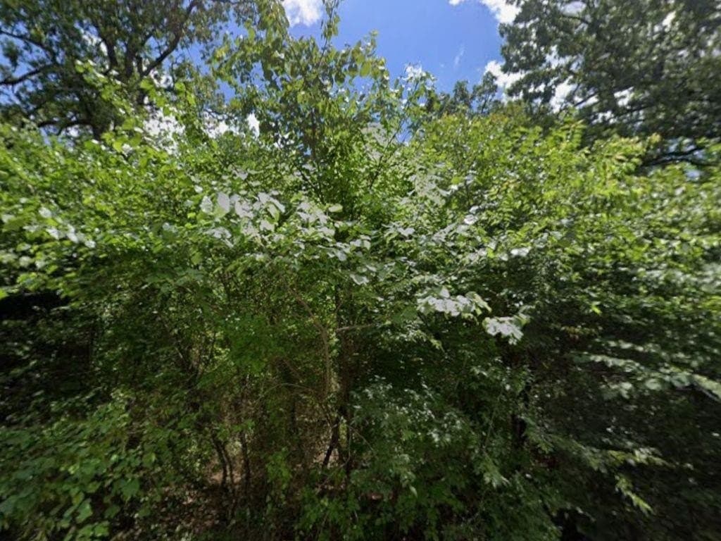 0.74 acres in Hunt County gallery image 3