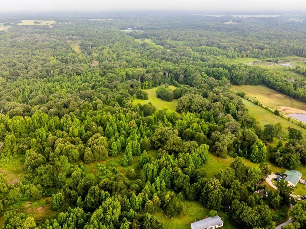 0.74 acres in Hunt County gallery image 2