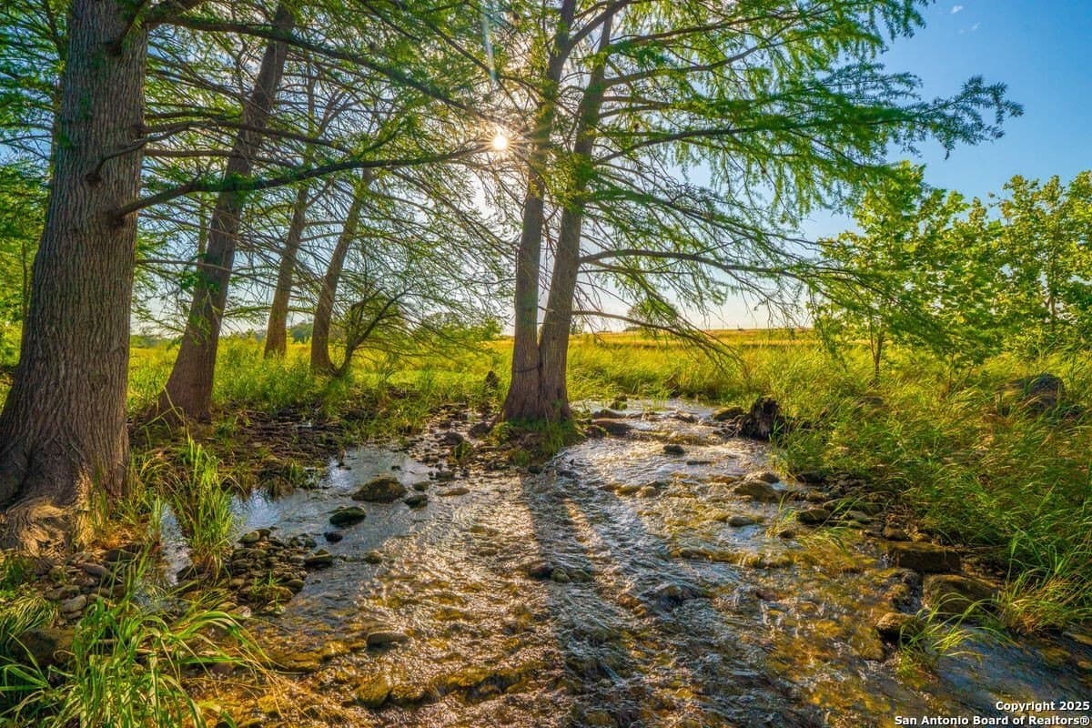 27.1 acres in Kendall County gallery image 2