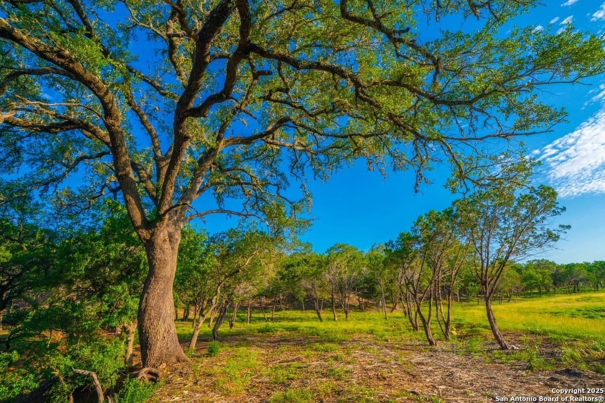 27.1 acres in Kendall County - photo 8