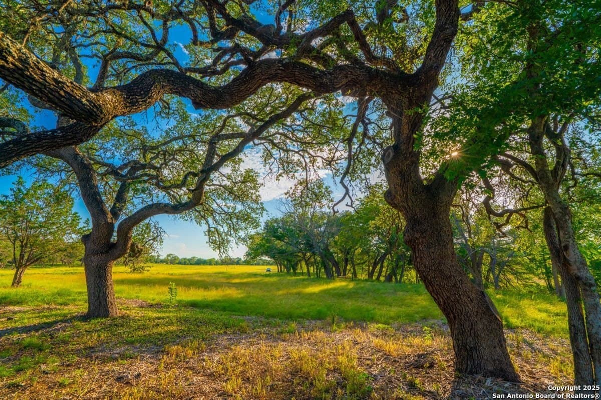 27.1 acres in Kendall County - photo 9