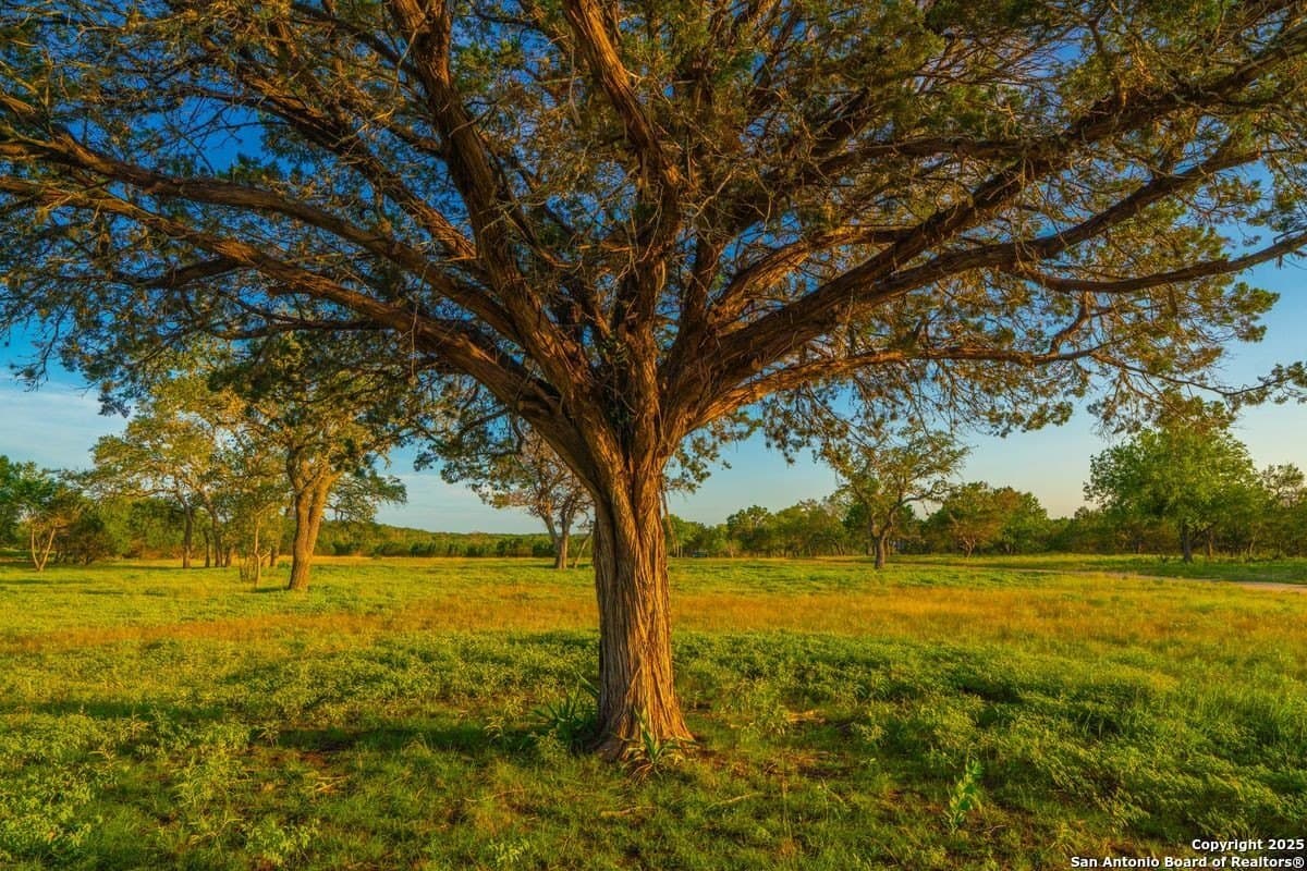 27.1 acres in Kendall County - photo 15