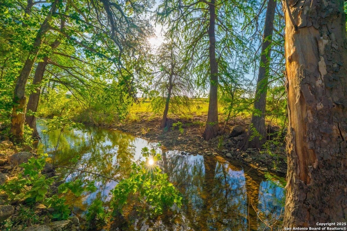 27.1 acres in Kendall County - photo 7