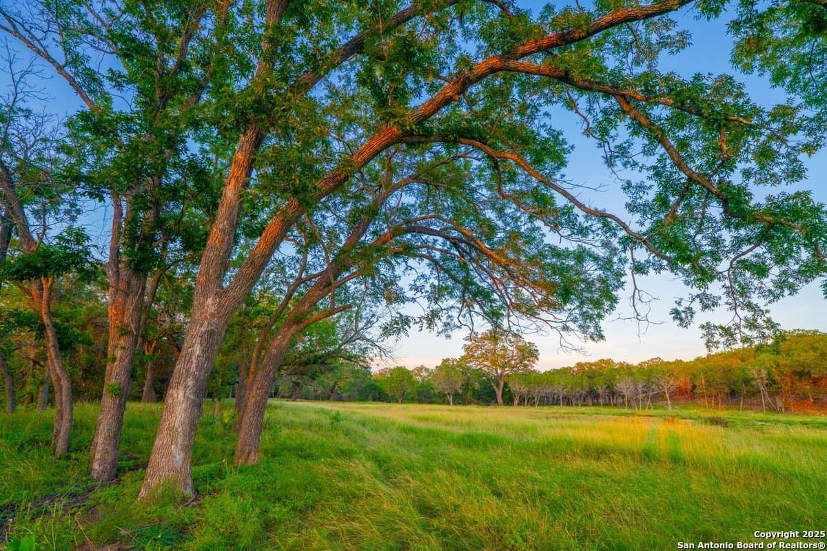 27.1 acres in Kendall County - photo 31