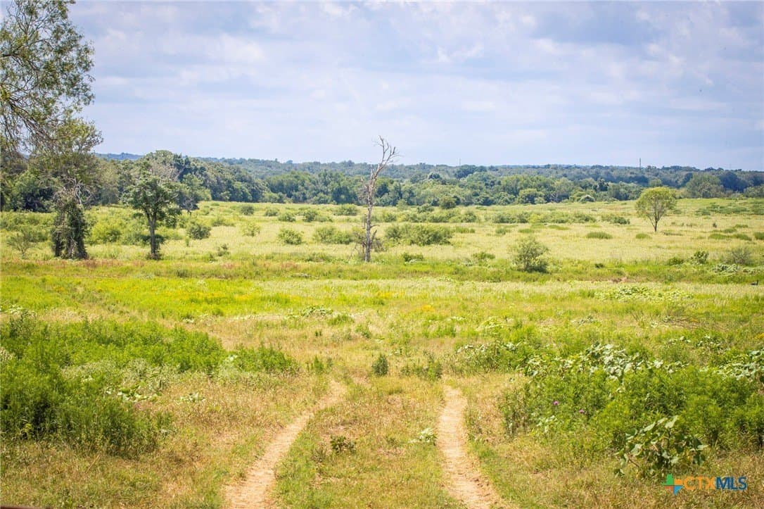 93.79 acres in Guadalupe County - photo 11
