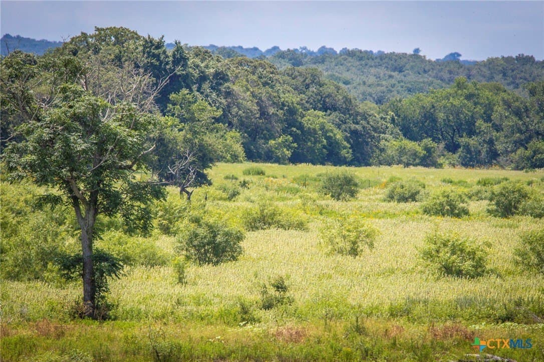 93.79 acres in Guadalupe County - photo 12
