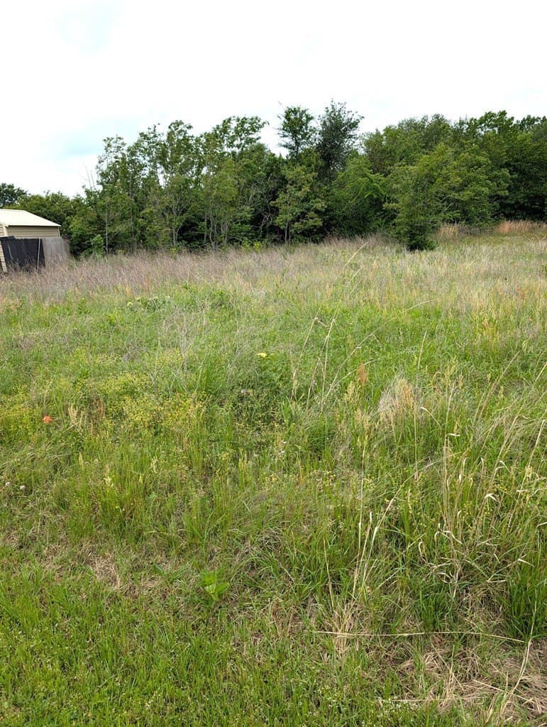 0.35 acres in Henderson County gallery image 2