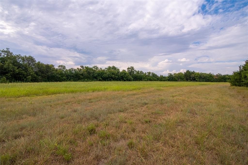 30 acres in Fannin County featured view