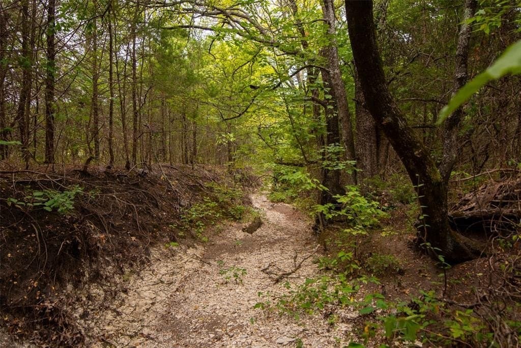 30 acres in Fannin County