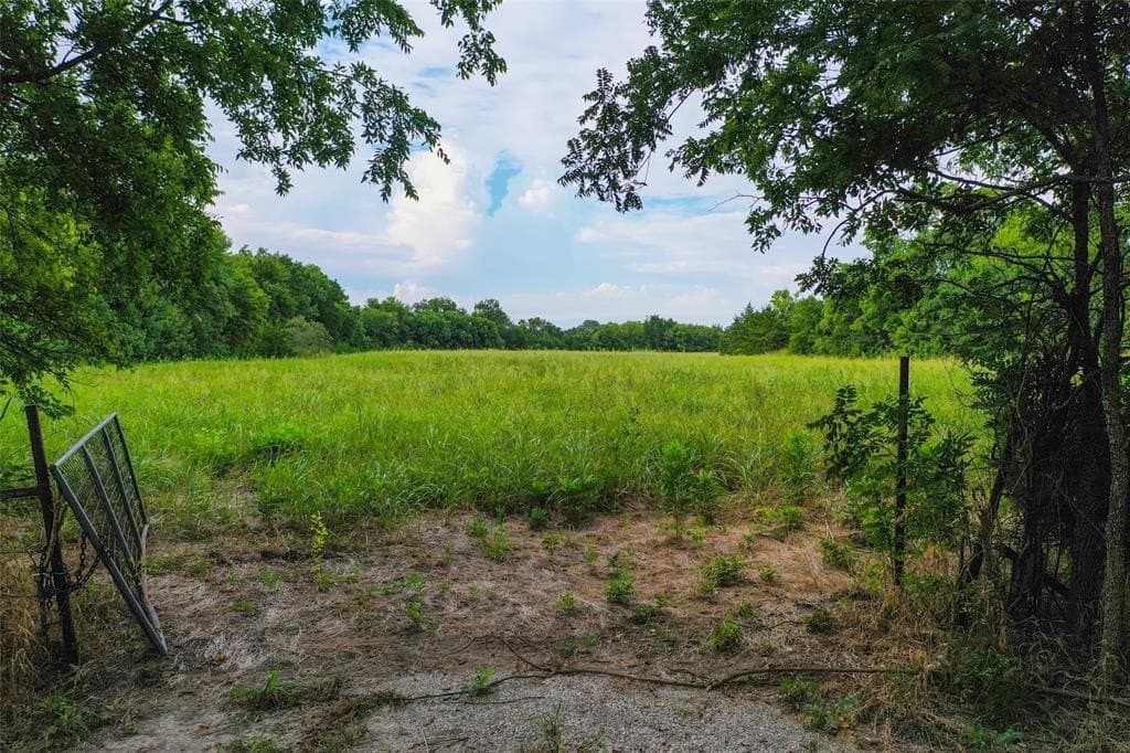 30 acres in Fannin County gallery image 4